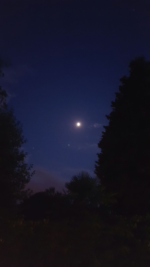 Moon