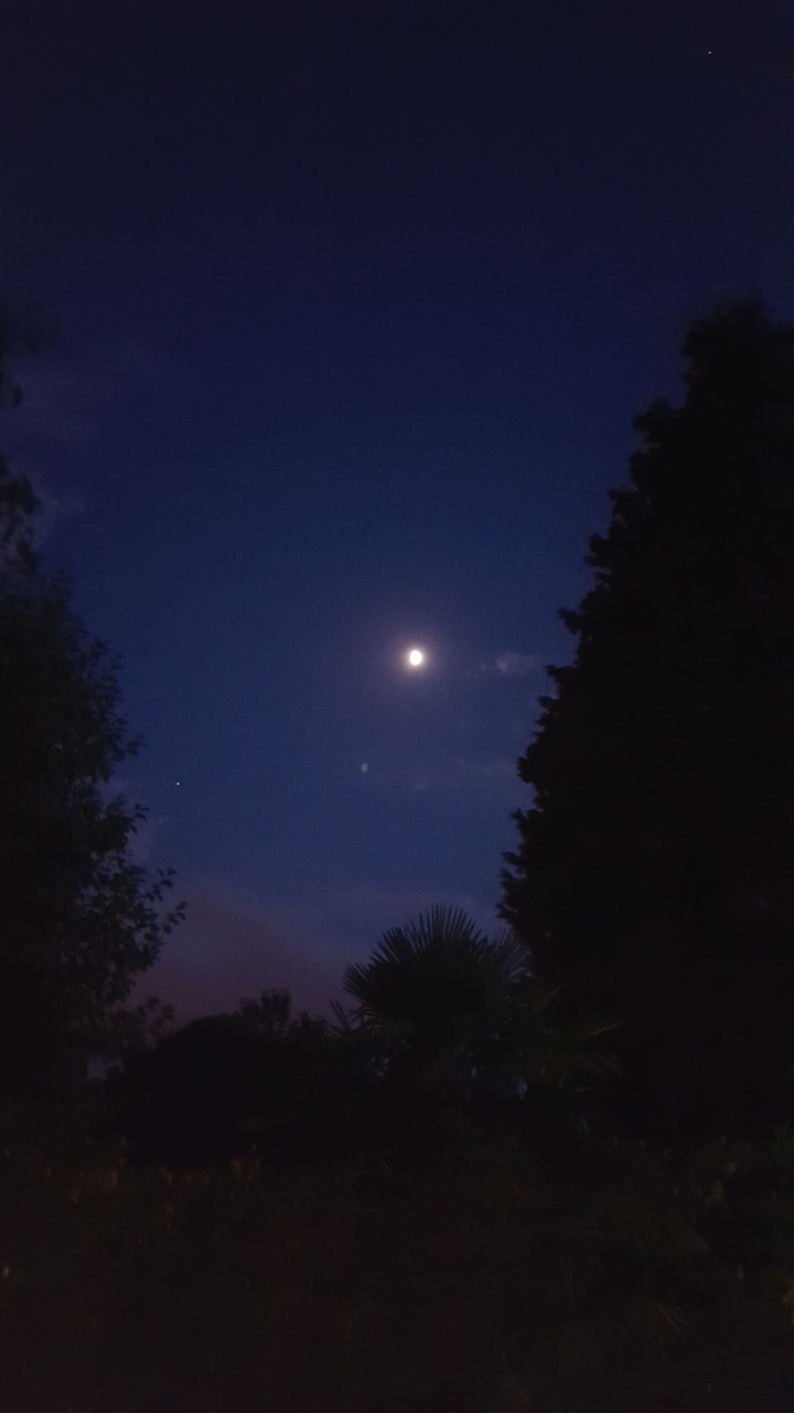Moon