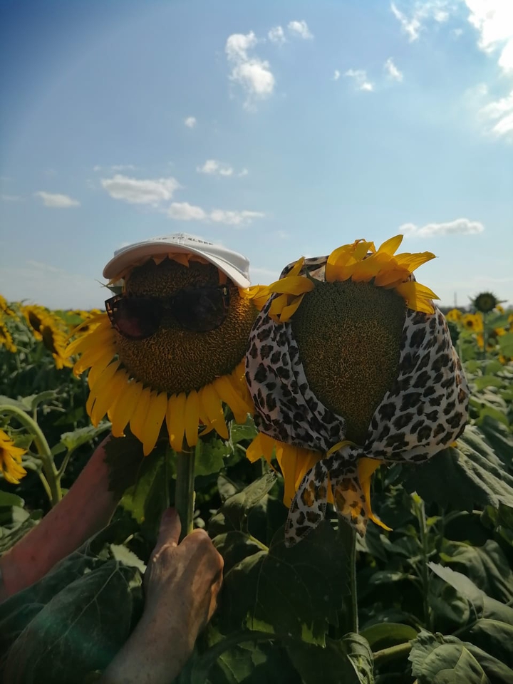 лето