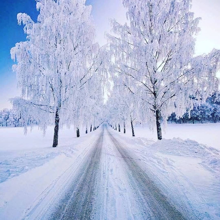 ♥️ Christmas  Forever