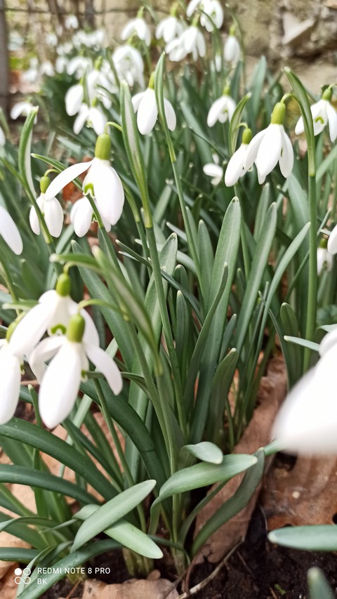 ostern