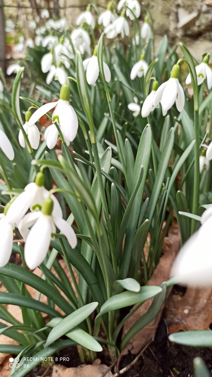 ostern