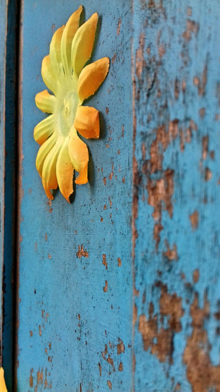 Flor