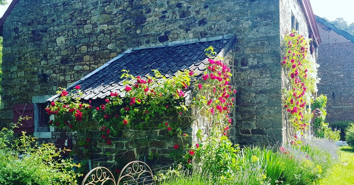 campagne