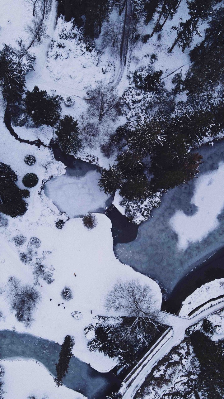 winter patterns..