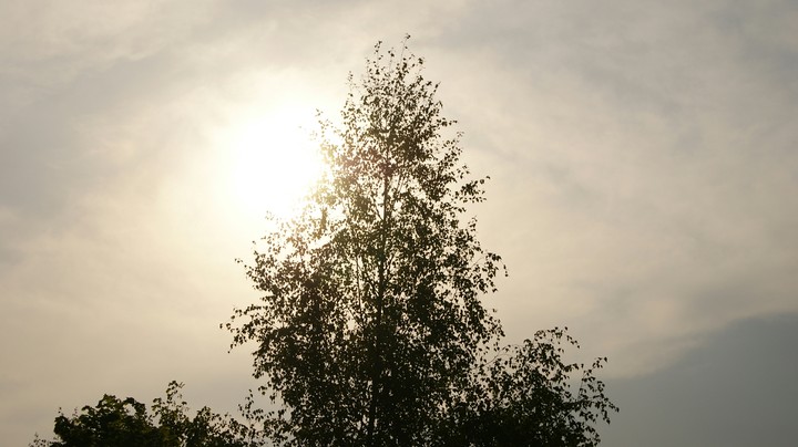 Summer