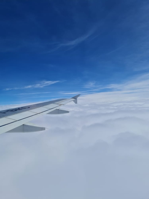 airplane
