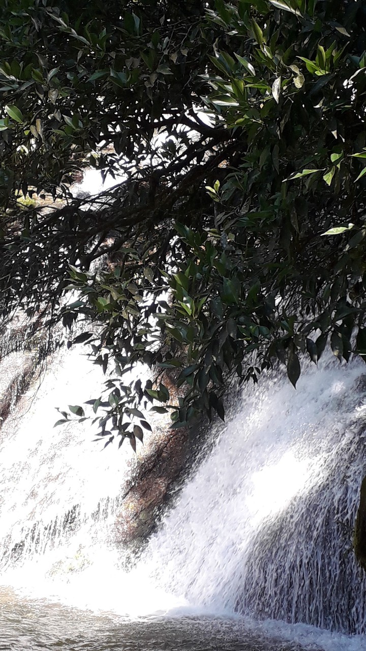 Rio