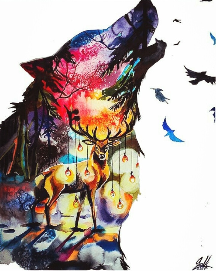 wolf