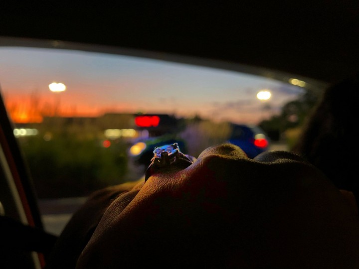 engagement on the horizon