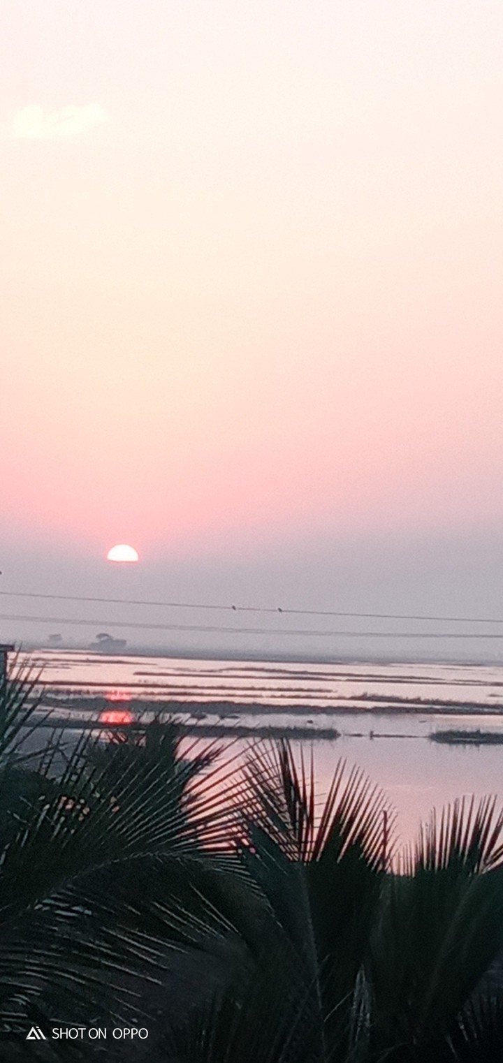 ઘેડ ની સવાર