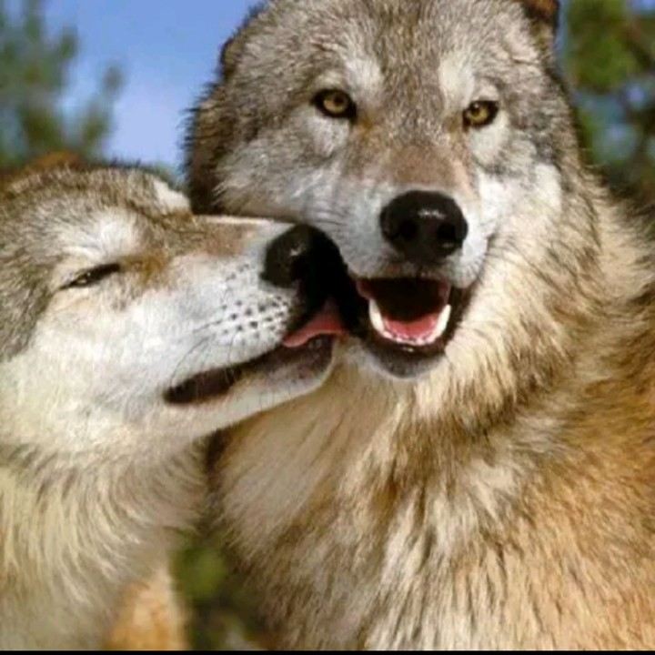bellos!????
