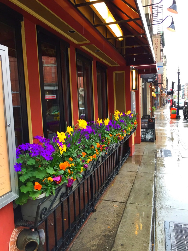 Boston in the Spring