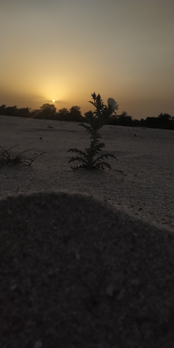 sun  ☀