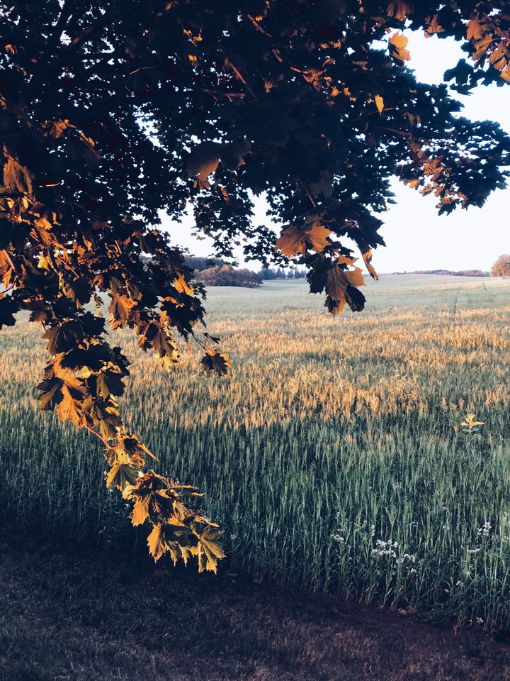 Country roads