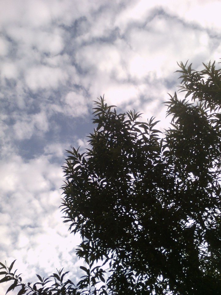 Nubes