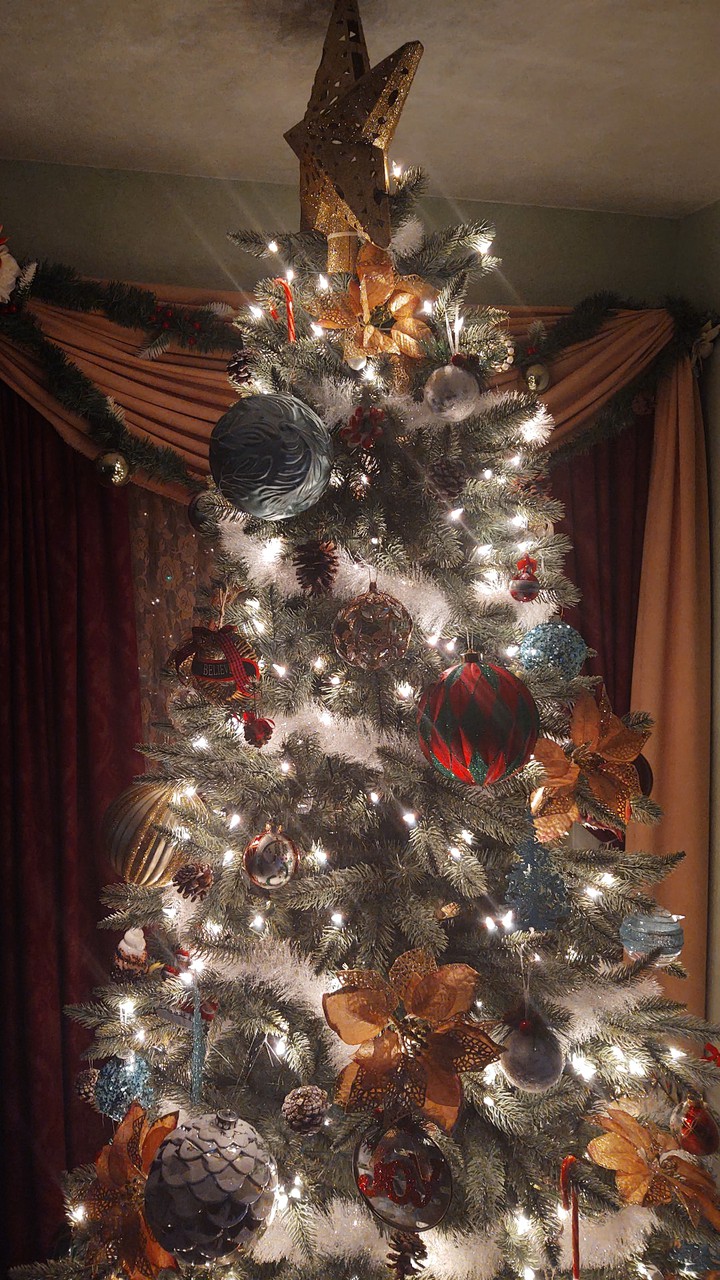 Christmas tree, featuring glares of love.