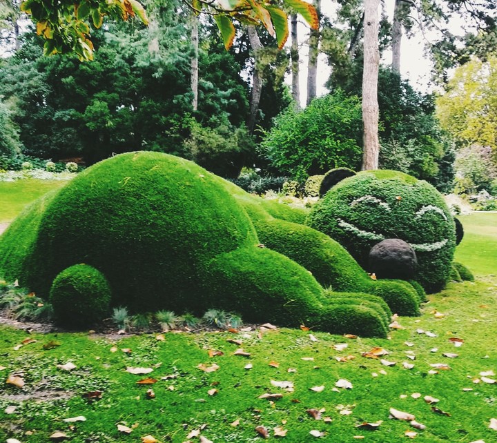 topiary