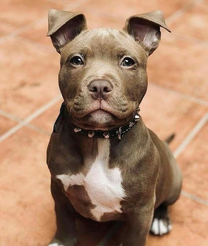 ♥️♥️♥️