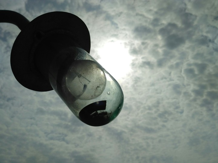 bulb
