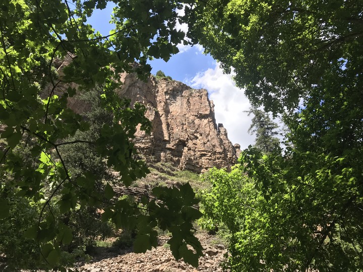 hanging lake cliff through trees
