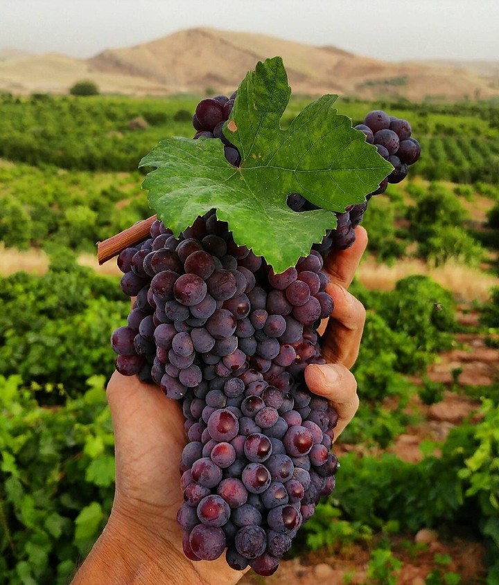 kermanshah.iran