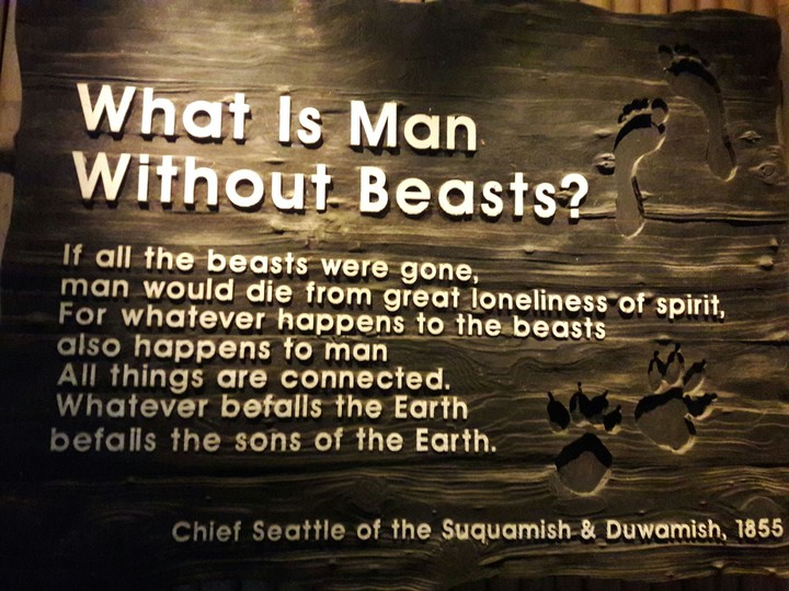 Without beasts