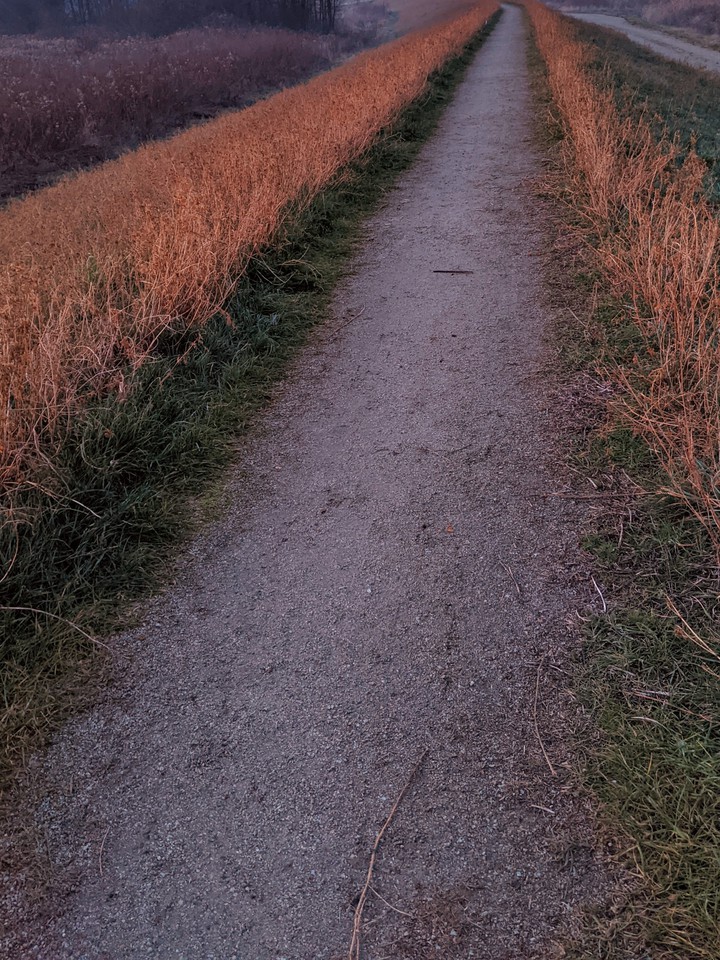 winter path