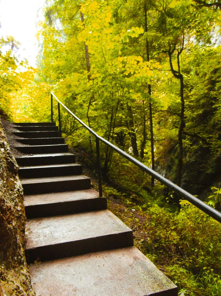 autumn