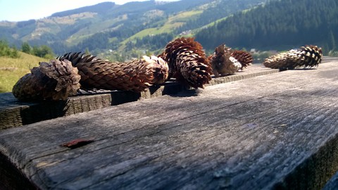 Mountains Carpathians