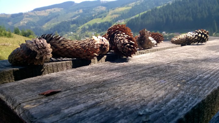 Mountains Carpathians