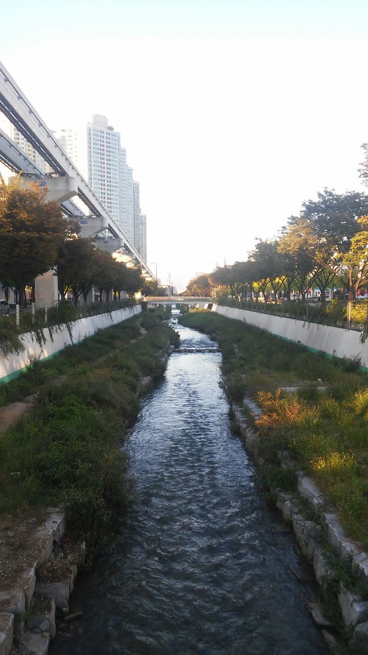물이흘러