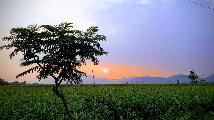 Evening time