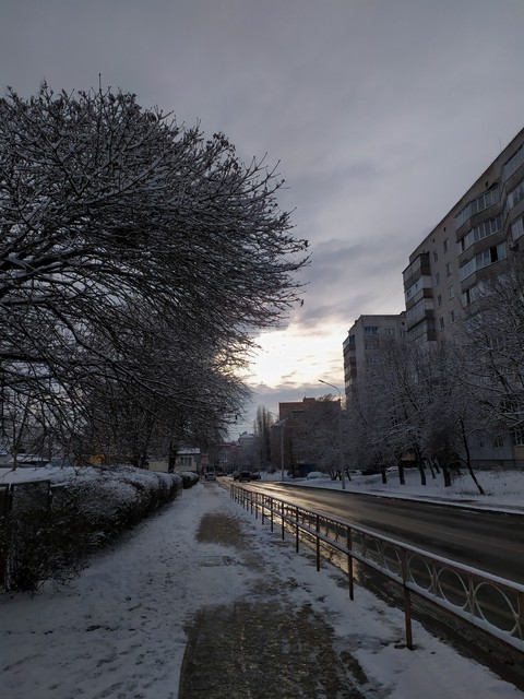 plant, freezing háttérképek