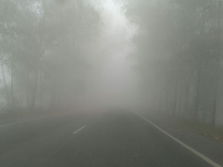 foggy way