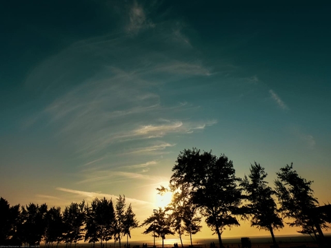evening
