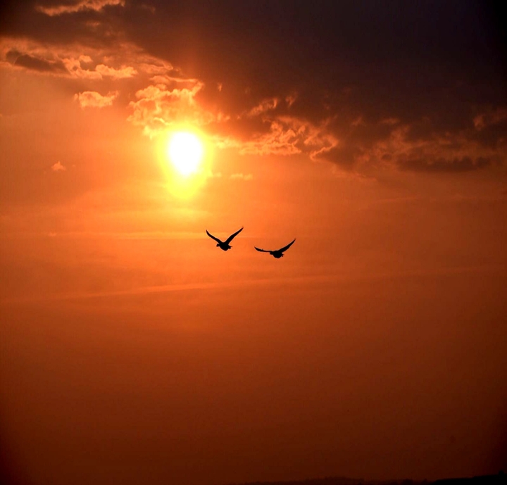 Sunset flight
