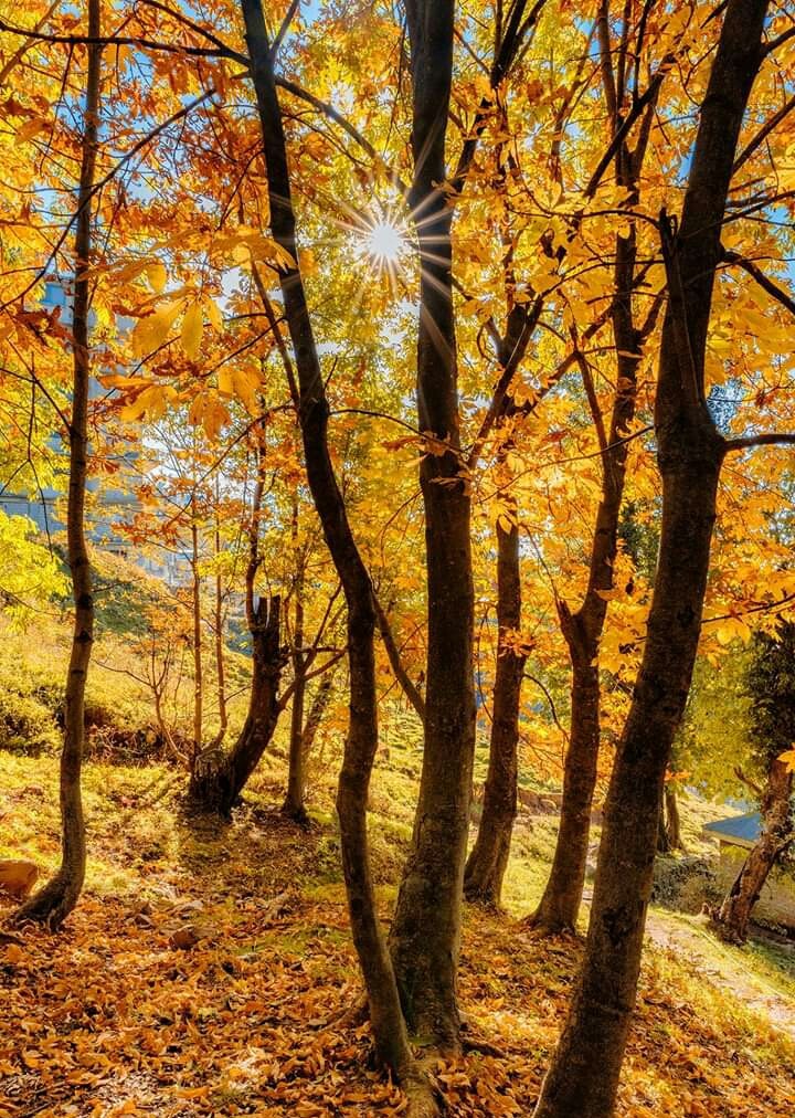Autumn in Hunza Pakistan