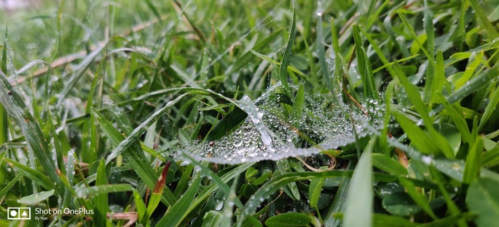 droplet
