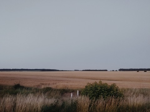 тапети plain, prairie