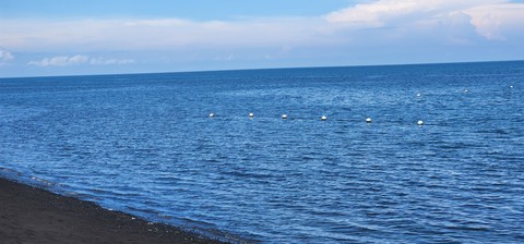 тапети bird, blue
