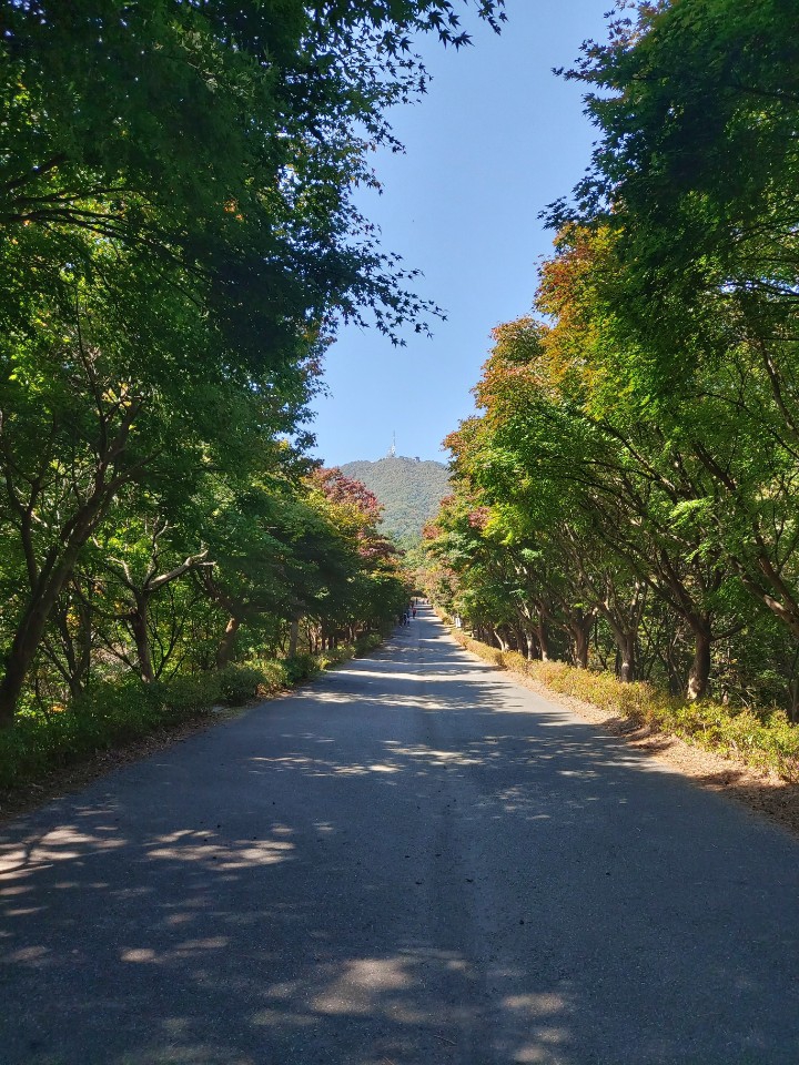 길