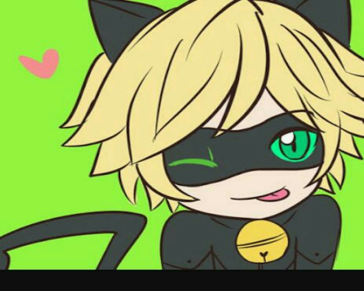 Chat Noir