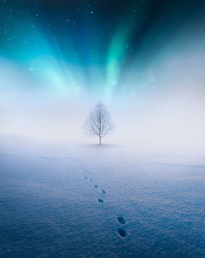 Footstep