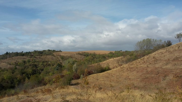 hills