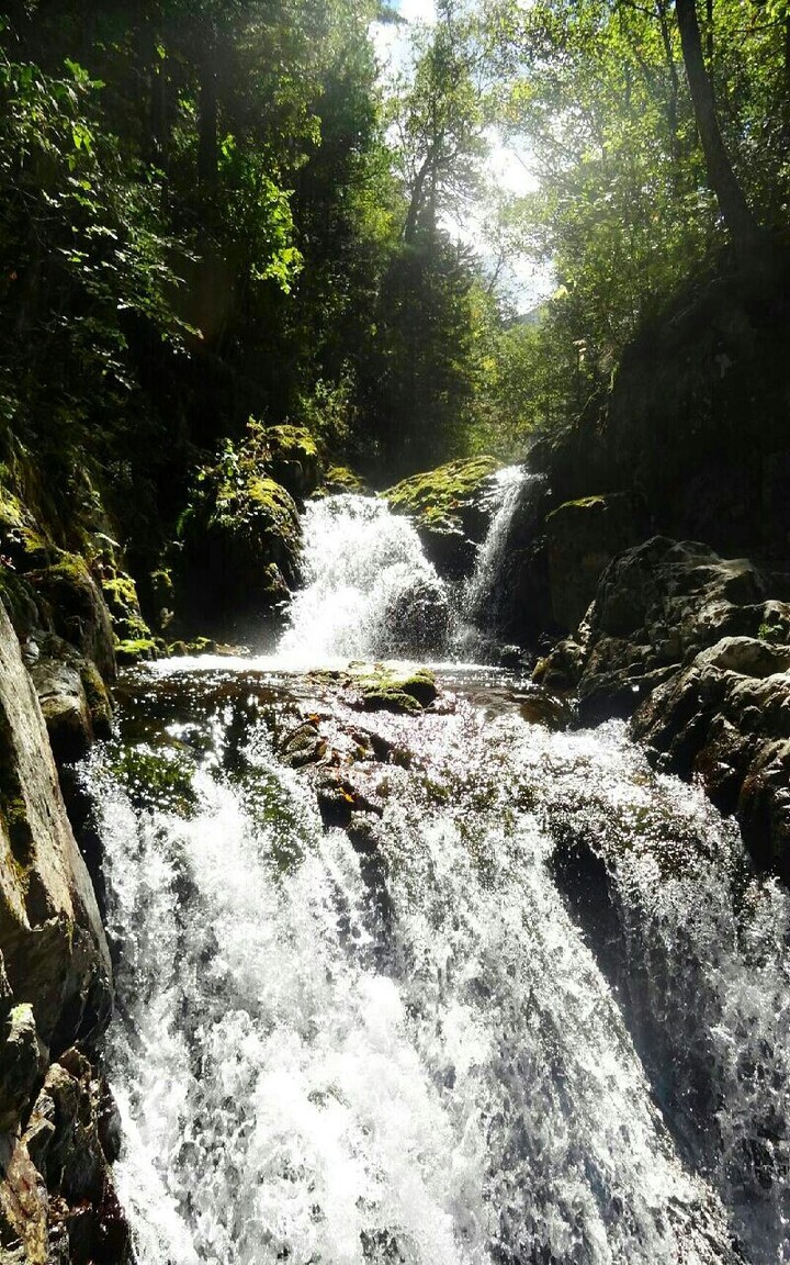 лес.водопад