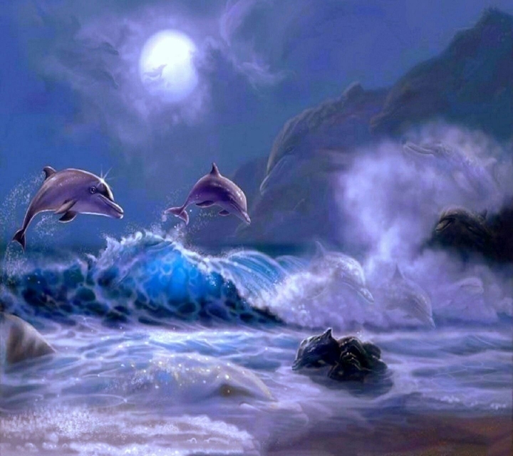 Dolphins