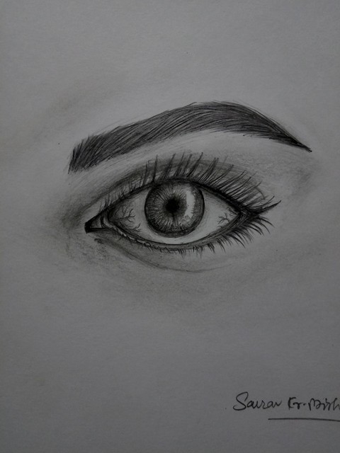 Eye