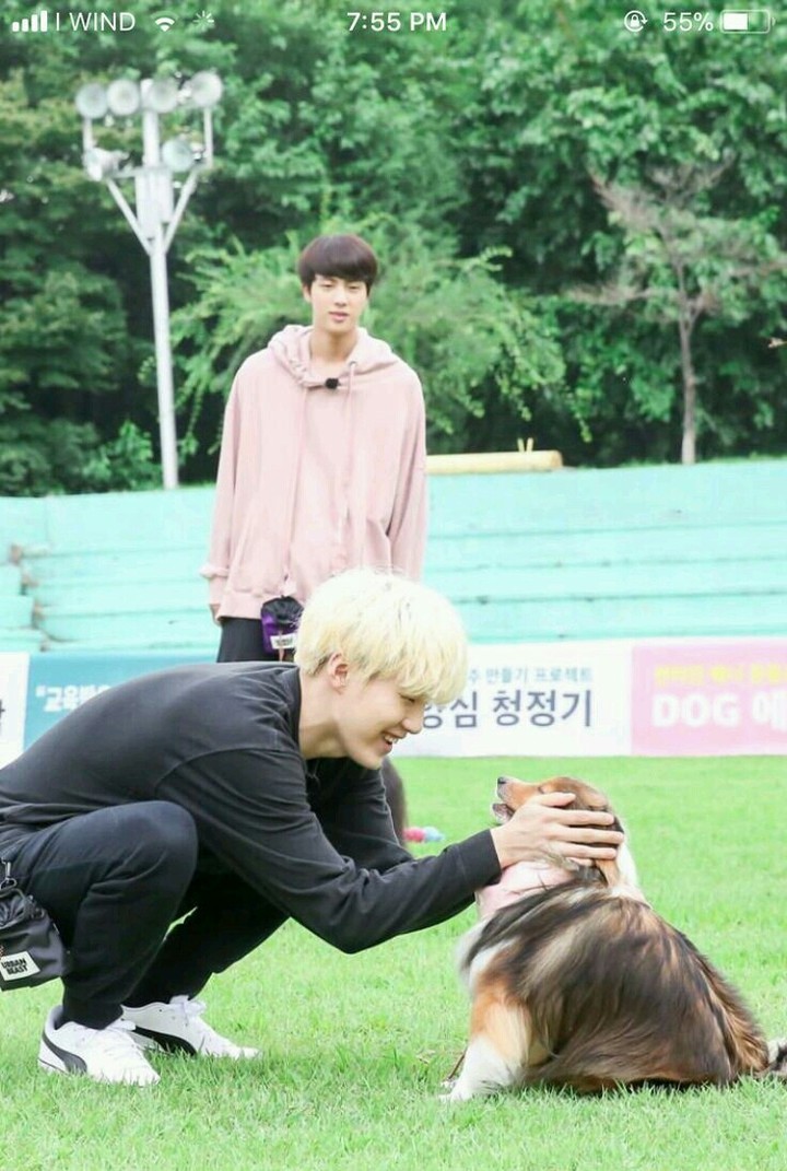 jin suga and dog