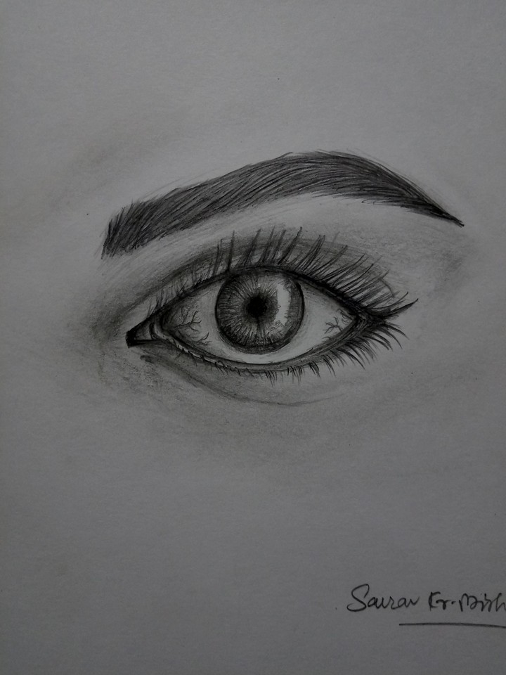 Eye